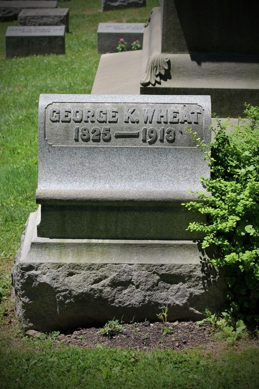 Plant, Cemetery, Leaf, Headstone