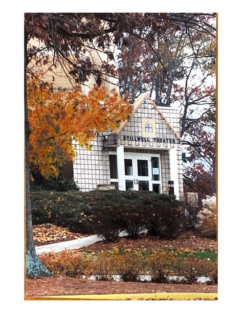 Plant, Window, Building, Leaf