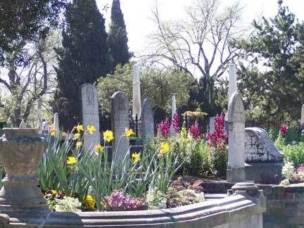 A view of the cemetery