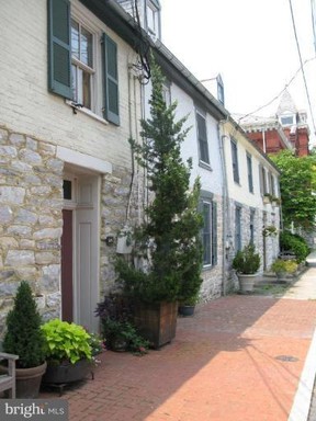 Plant, Window, Building, Road surface