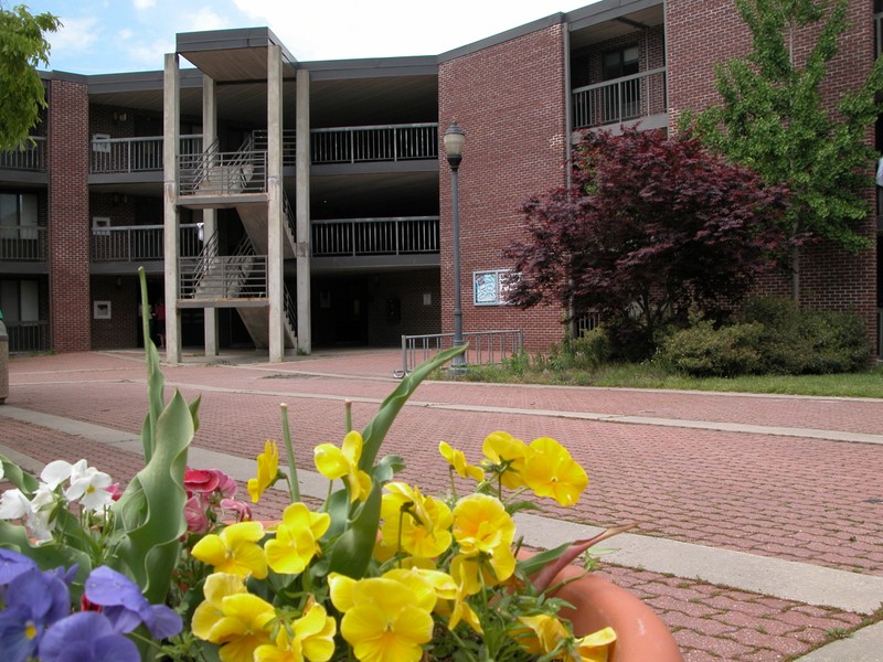 St. Martin Hall - From Chesapeake Hall, 2004