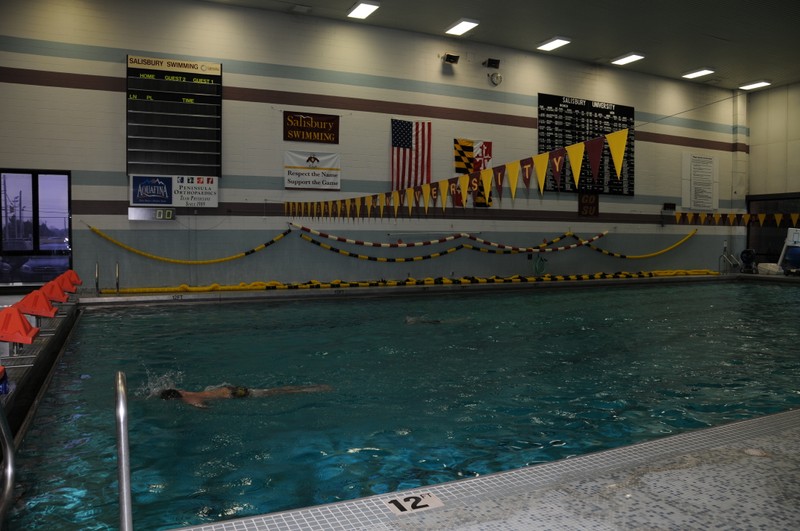 Olympic Size Swimming Pool in Maggs Gym