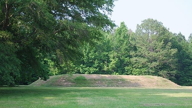 A closer picture of the Bear Creek Mound