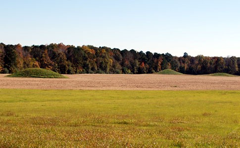 Pharr Mounds is one of the largest ancient ceremonial sites in the Southeast