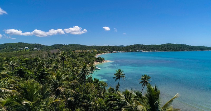 Mosquito Bay's beauty doesn't just shine at night; visitors can also enjoy the bay on a sunny day.