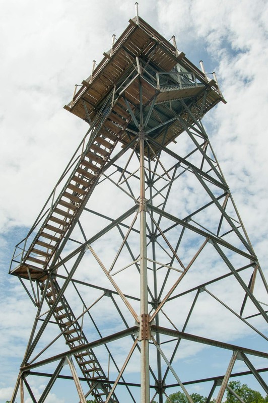 View from the ground of Thorny Mountain Fire Tower.