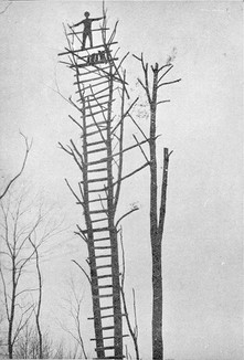 A primitive early fire observation tower at Turkey Mountain, Webster County. These were replaced by more permanent structures in the 1920s.