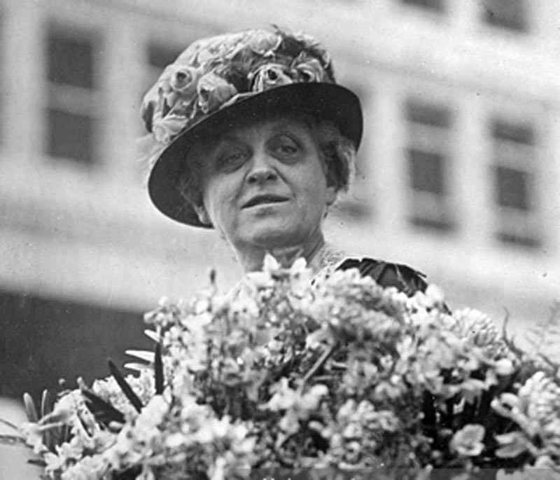 Flower, Plant, Photograph, Hat