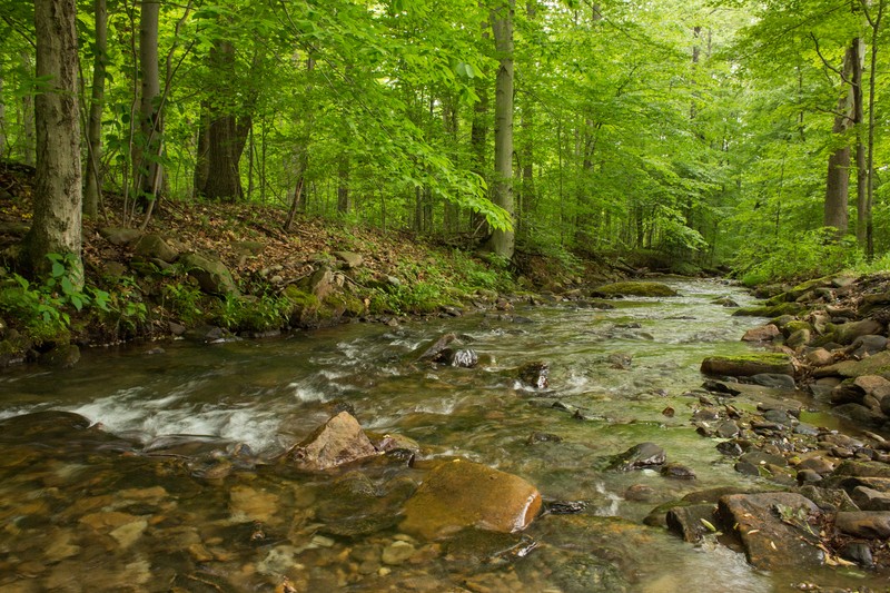 The nature reserve gets its name from Powdermill Run, a stream that is among the highest quality in the state. Photo by Pamela Curtin, PNR