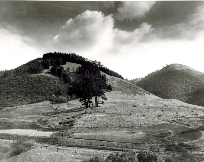 UC Botanical Garden moves off-campus to the location of Strawberry Canyon (1928)