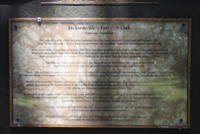 Marker for the Jessie Ball DuPont Park, marking Treaty Oak as "Jacksonville's Favorite Oak"