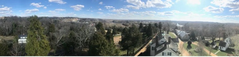 Aerial view of row of cedars 