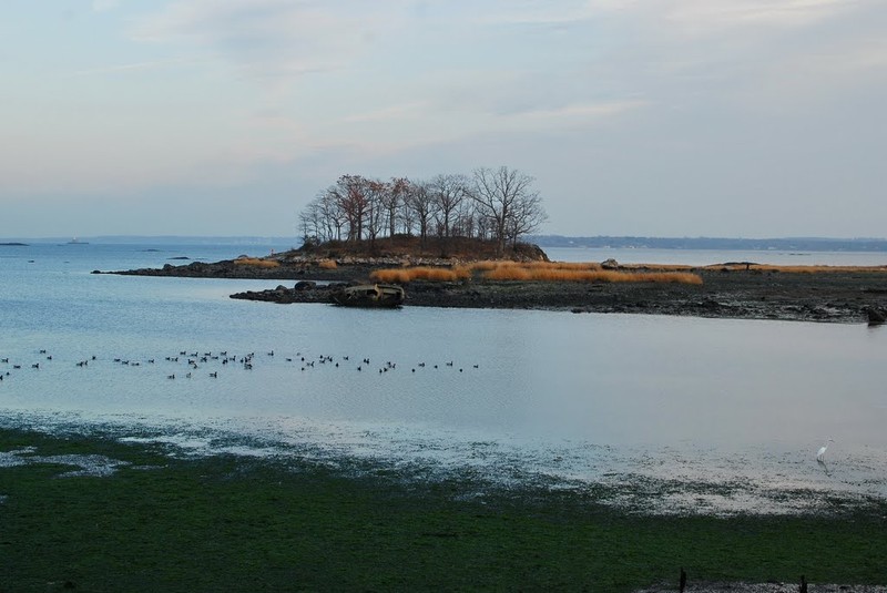 Island Environment