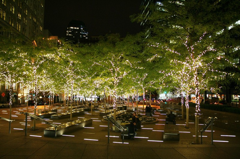 The park is popular in the holiday season as the trees and ground lights create a festive atmosphere. 