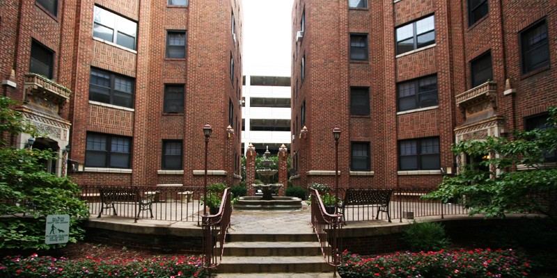 Plant, Building, Daytime, Window