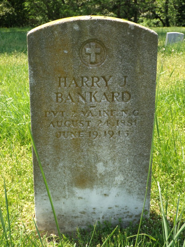 Plant, Leaf, Cemetery, Vegetation