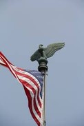 This photograph is a shot of the bronze eagle that sits atop of the flagpole with its wings sculpted open.
