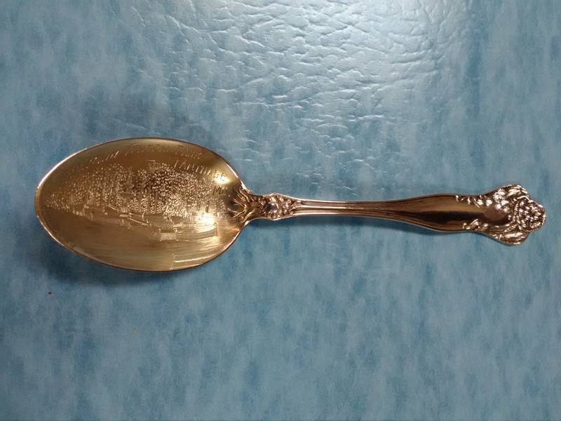 Sterling silver souvenir spoon featuring Central Park view and displayed in "175th Anniversary of Carthage" exhibit at Powers Museum in 2017.