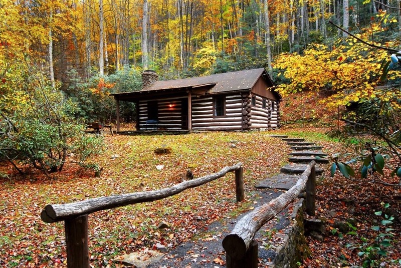 Watoga State Park offers 34 residential cabins within the entire park.