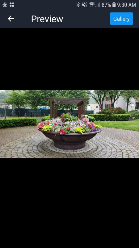 1880's watering trough, planted by Laurelwood Garden Club