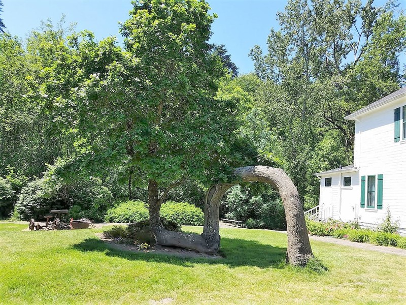 Lovers Oak Recreation