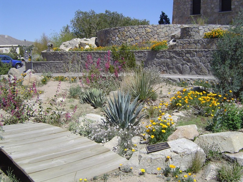 The Chihuahuan Desert Gardens