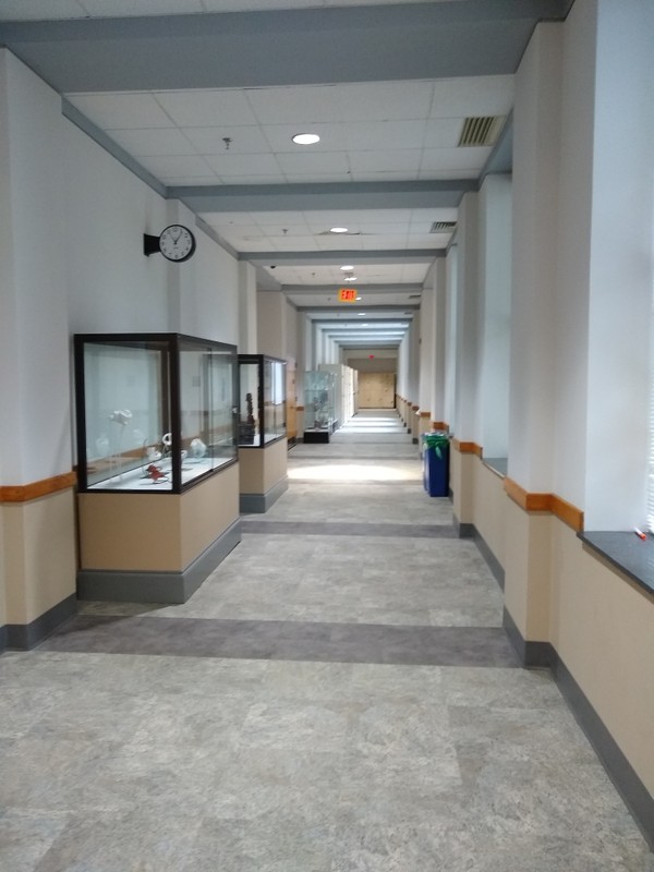 Hallway with art displays, 2020