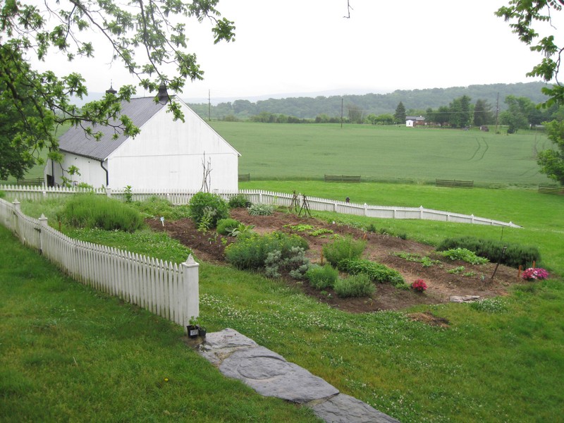 Pry House Museum medicinal and kitchen garden