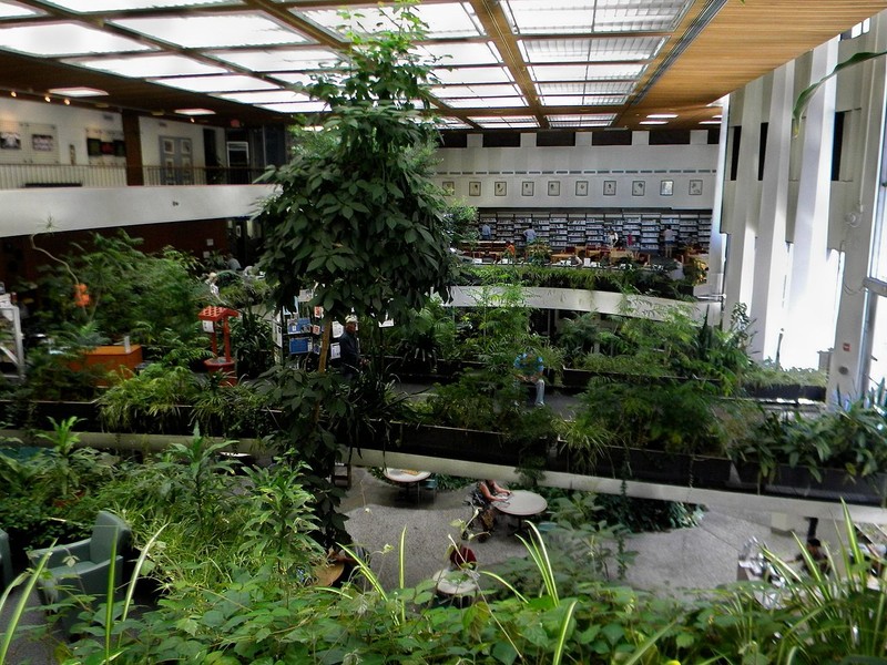 The downtown Washoe County Library is known for its modern architecture and interior landscape design.