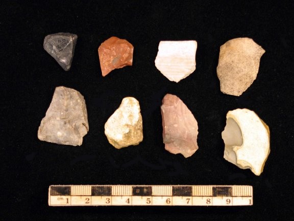 Lithic Flakes
