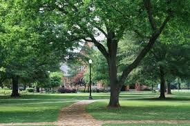 Old Quadrangle (Woods Quad) from one view.