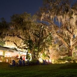 One of the beautiful aspects of the Enzian theater and Eden bar is the landscape of decades old moss draped trees. These trees shade the patio and lawn where you can lounge before or after a meal if you a waiting for a movie, or just want to relax. 