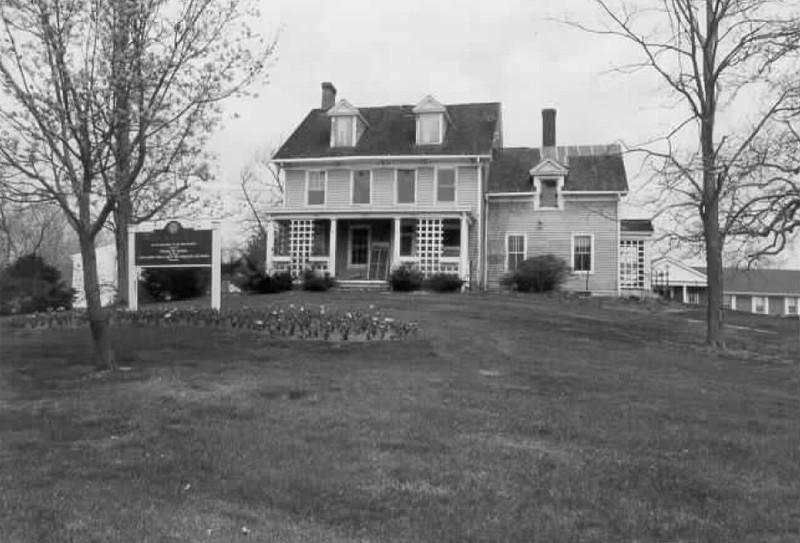 Plant, Building, Property, Window