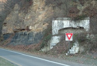 Plant, Slope, Road surface, Grey