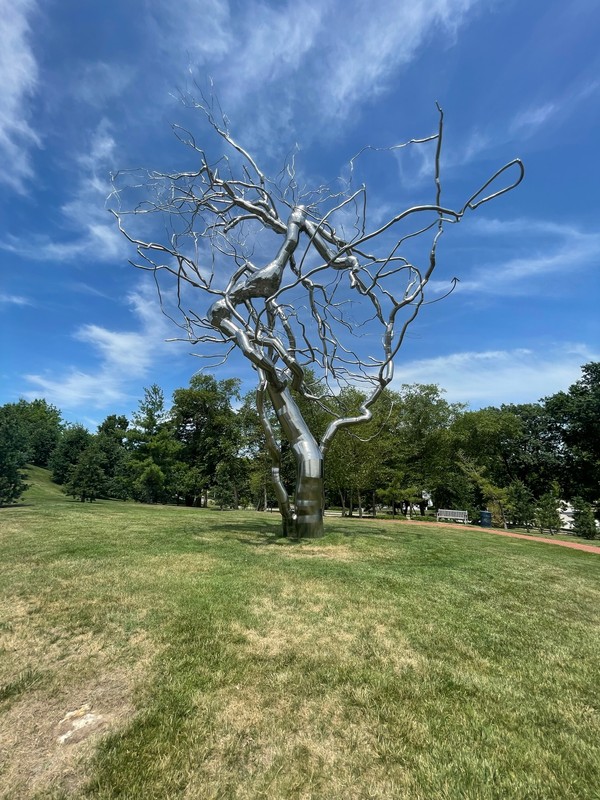 Cloud, Sky, Plant, Tree