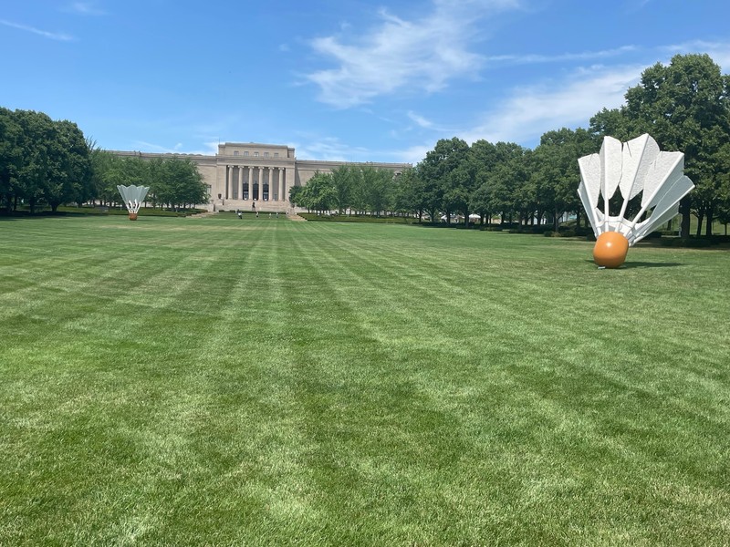 Cloud, Shuttlecock, Sky, Plant