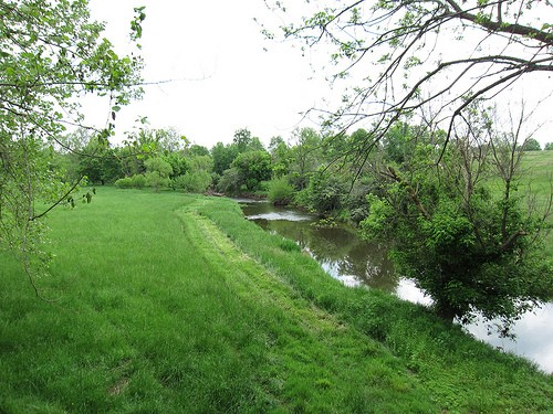 Panther Skin Creek