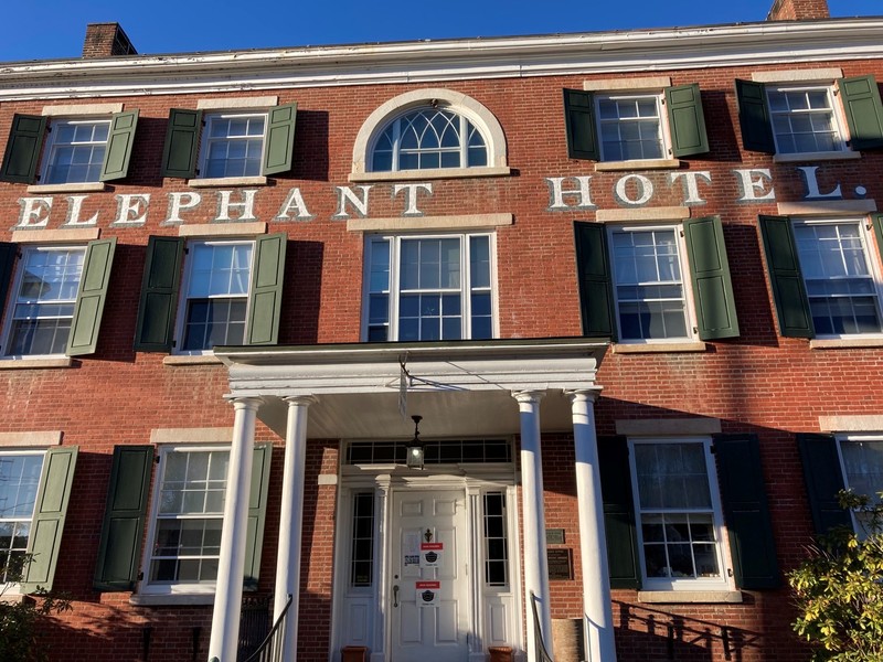 Plant, Window, Property, Building