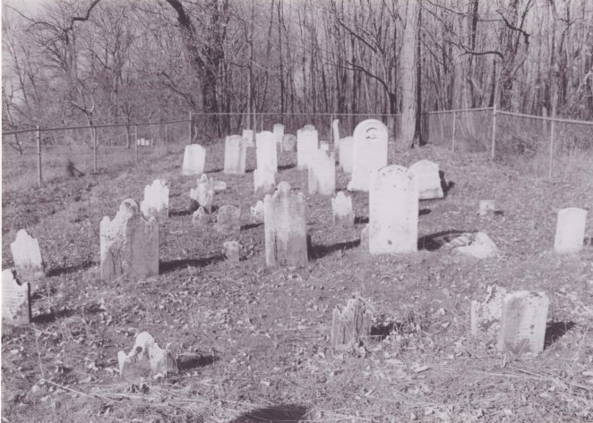 Headstone, Photograph, Plant community, Land lot