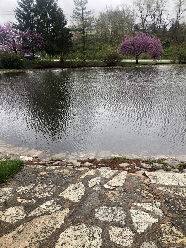 Thomas Sappington Pond and location of original barn