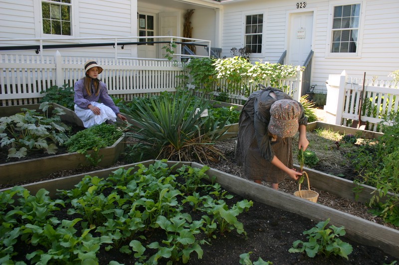 Volunteers tend and harvest the garden