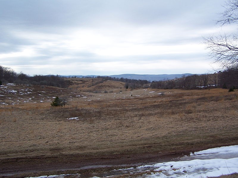 Allegheny Battlefield, present day.