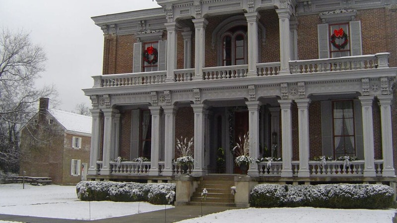 Building, Plant, Snow, Window