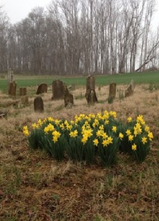 A pioneer cemetery rests on the edge of the Conococheague Settlement. Families with ancestors buried here still live in the area.