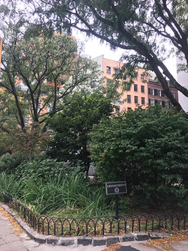 View of Finn Square from the north end.