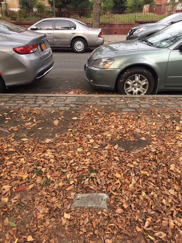 Stolen plaque and nonexistent tree.