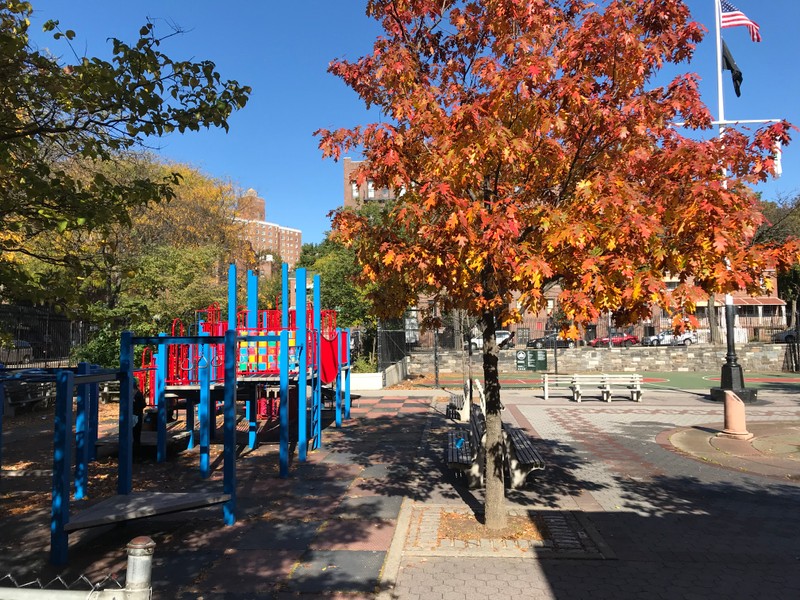 Play equipment and foliage.