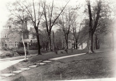 Plant, Building, Tree, Land lot