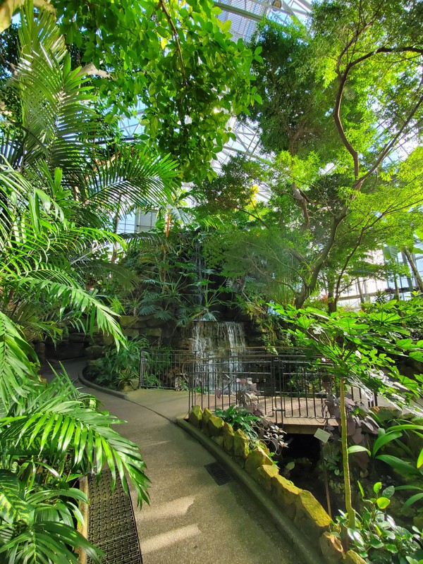 Krohn Conservatory Palm House 2019