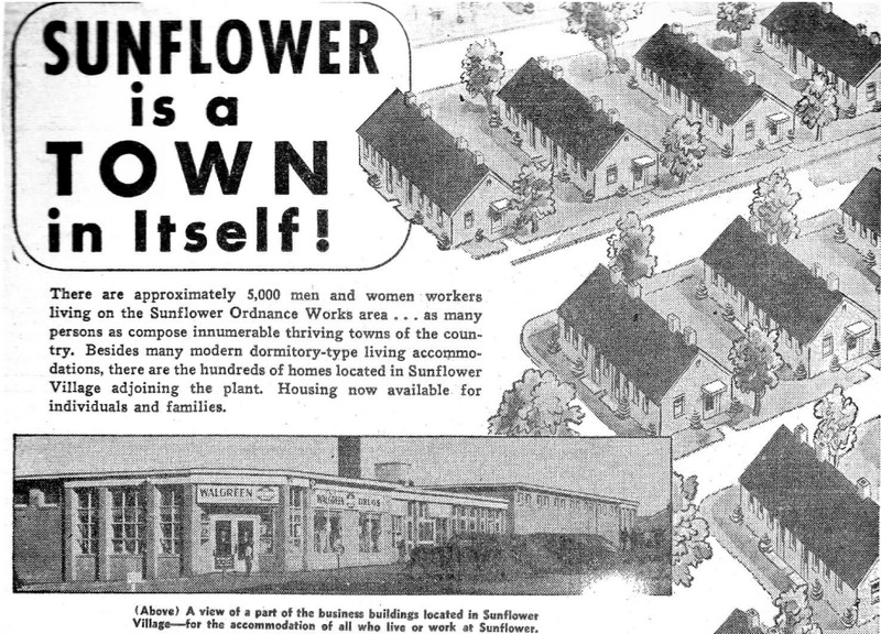 Sunflower Village Ad